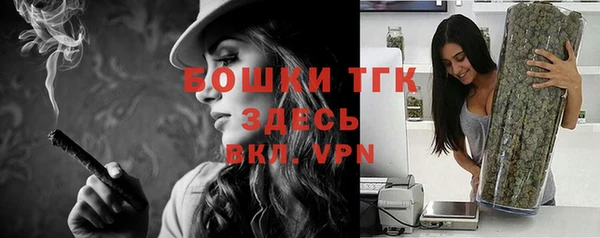 сатива Алексеевка