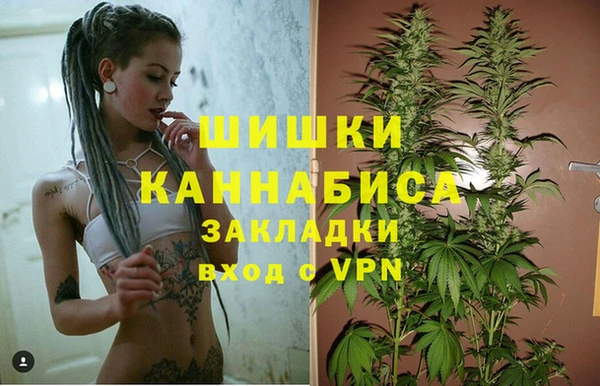 сатива Алексеевка