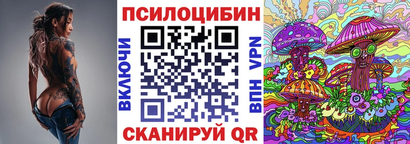 Псилоцибиновые грибы Psilocybe  Качканар 